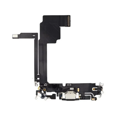 iPhone Charging Port