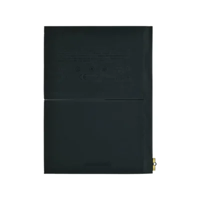iPad Battery